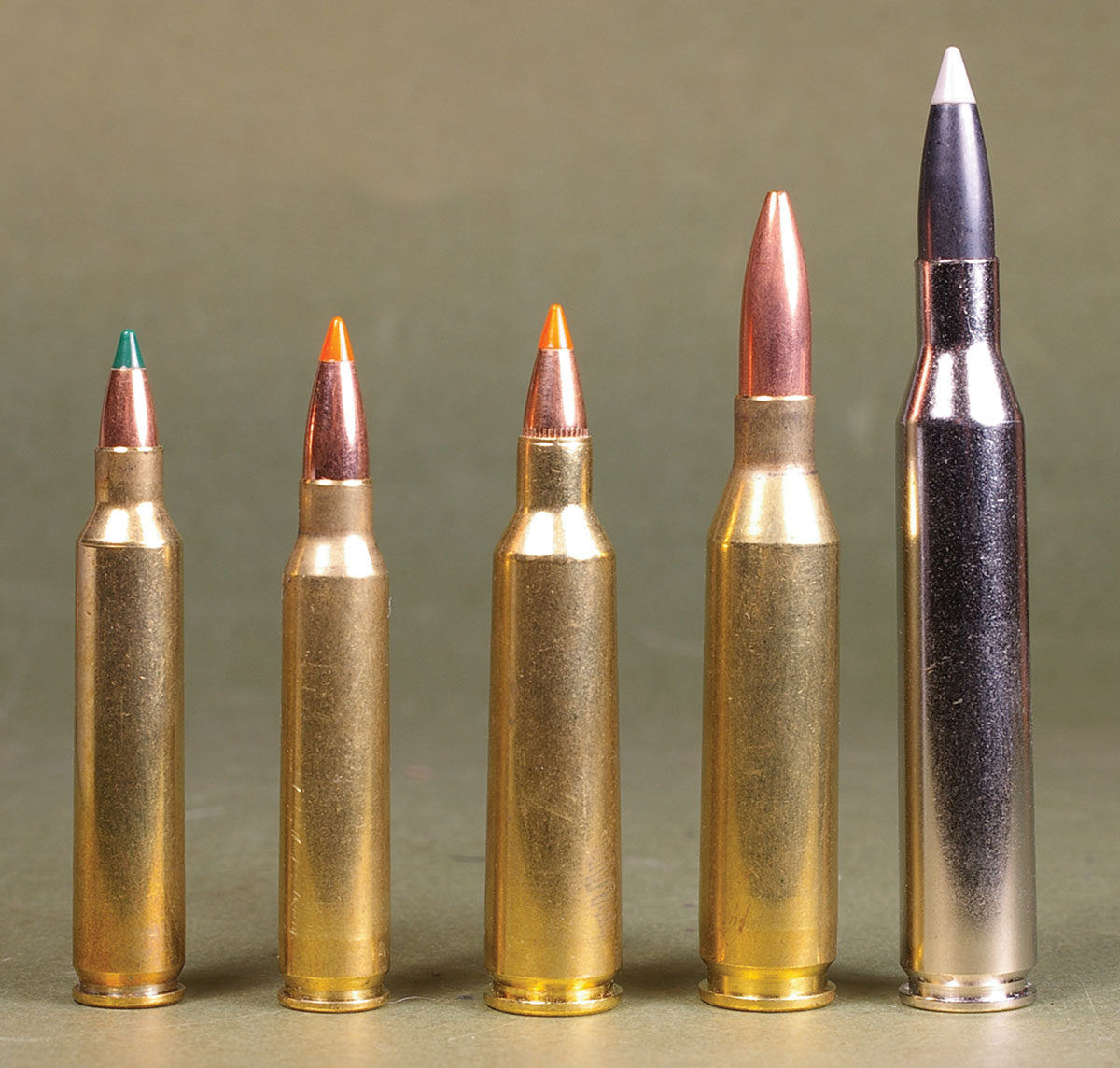 This lineup of cartridges fairly well encompasses pop­ular coyote cartridges. They include, from left: .204 Ruger, .223 Remington, .22-250 Remington, .243 Winchester and .25-06 Remington.